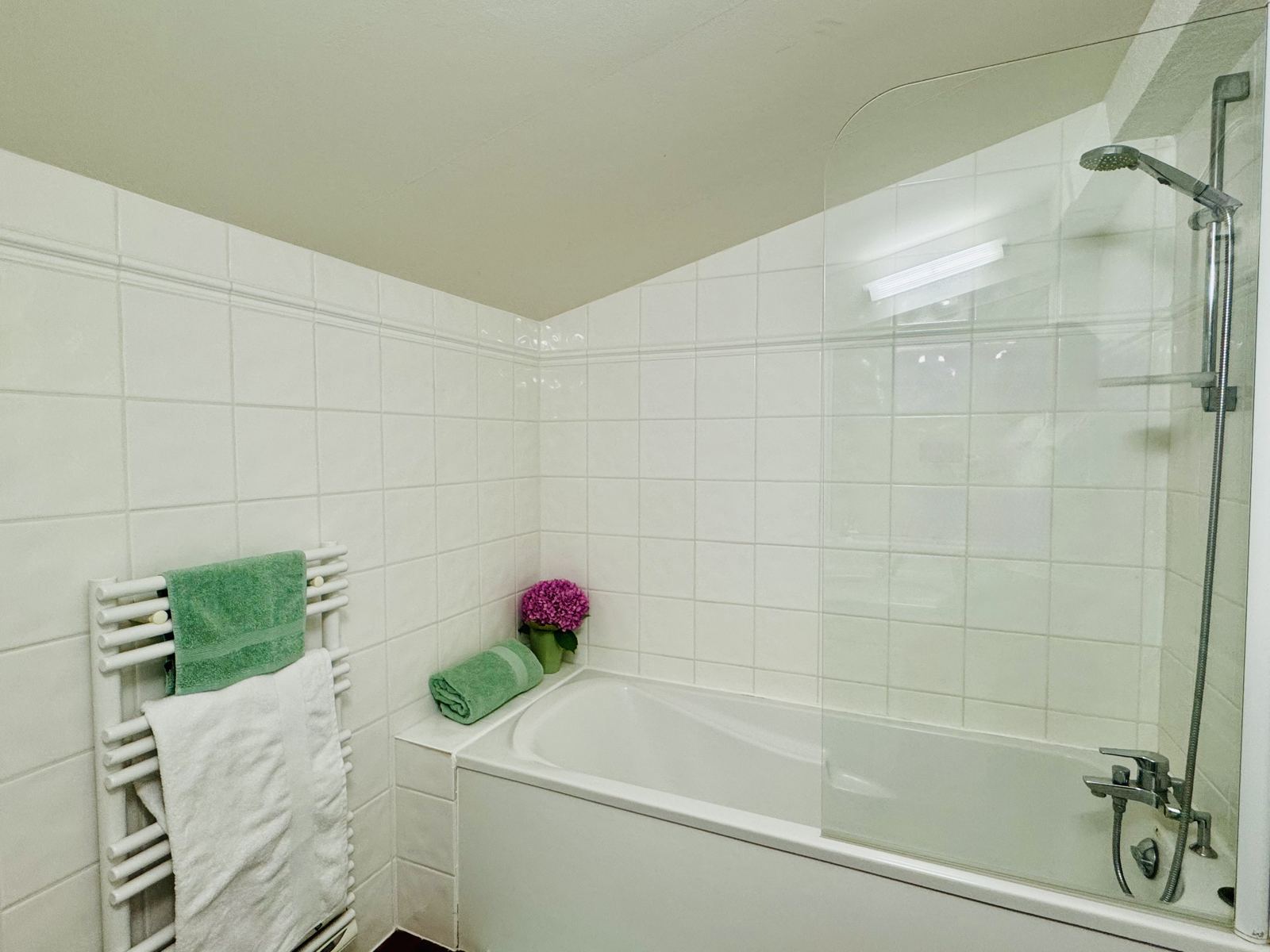 Chambre Terra – baignoire